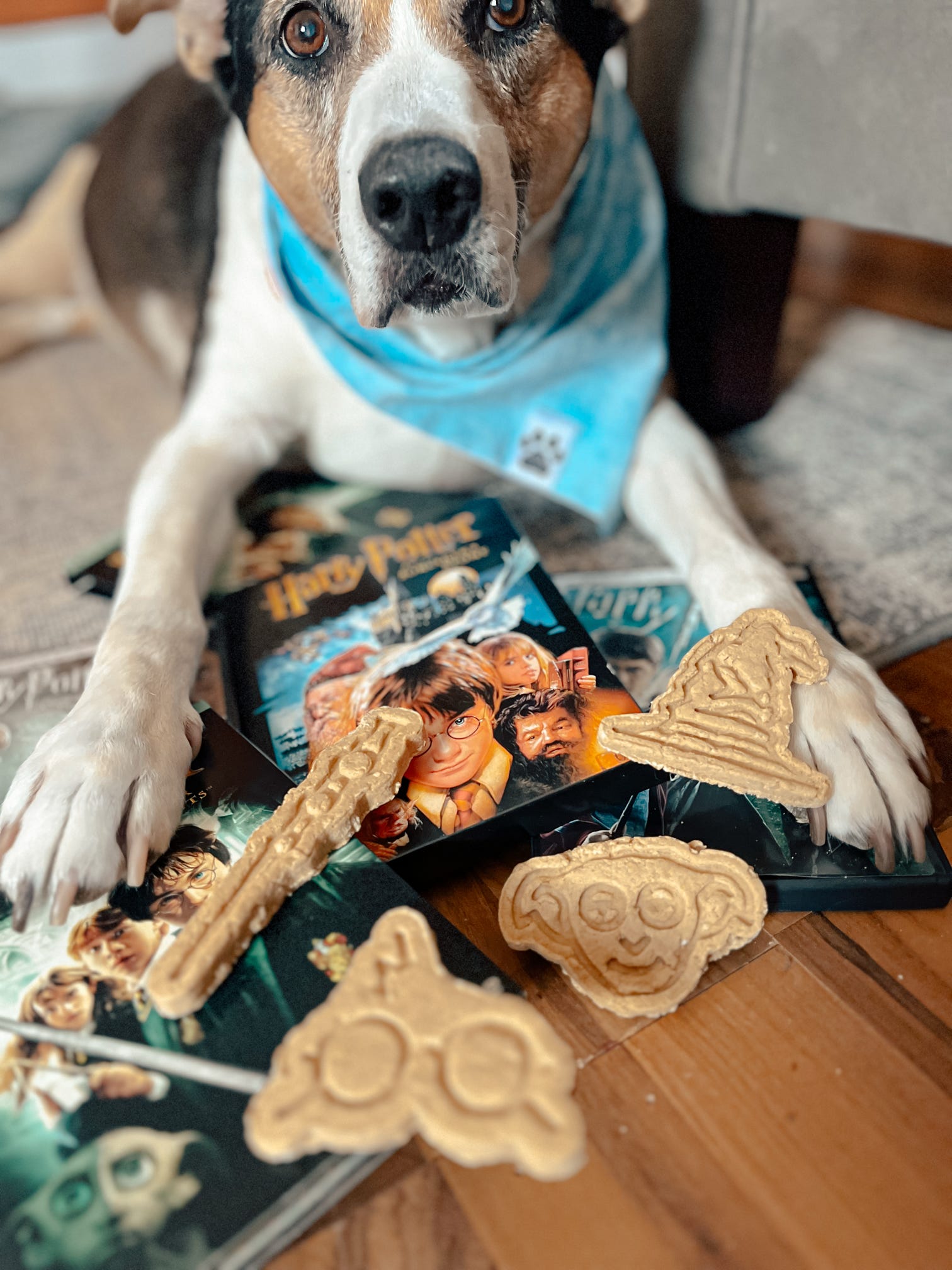 The Snack Attack Collection