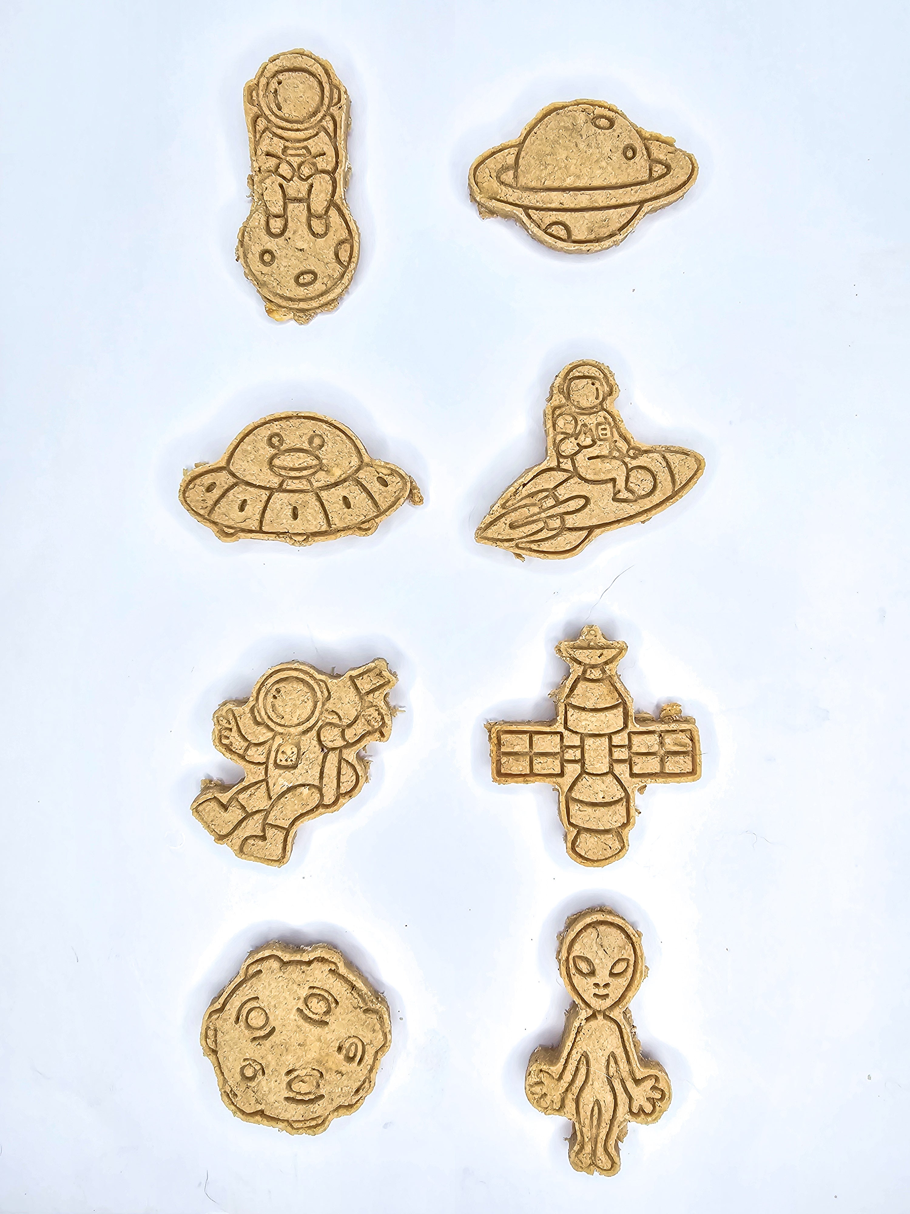 The Barkstronaut Collection