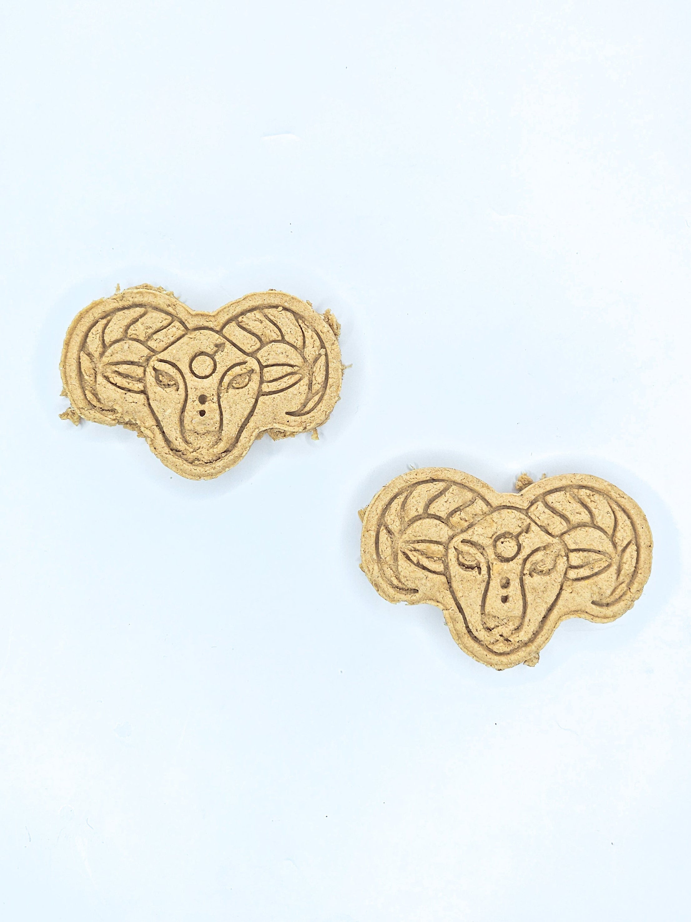 Ram-barktious Aries ♈️