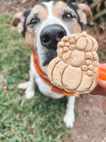 Gourd-geous Pup 🍂