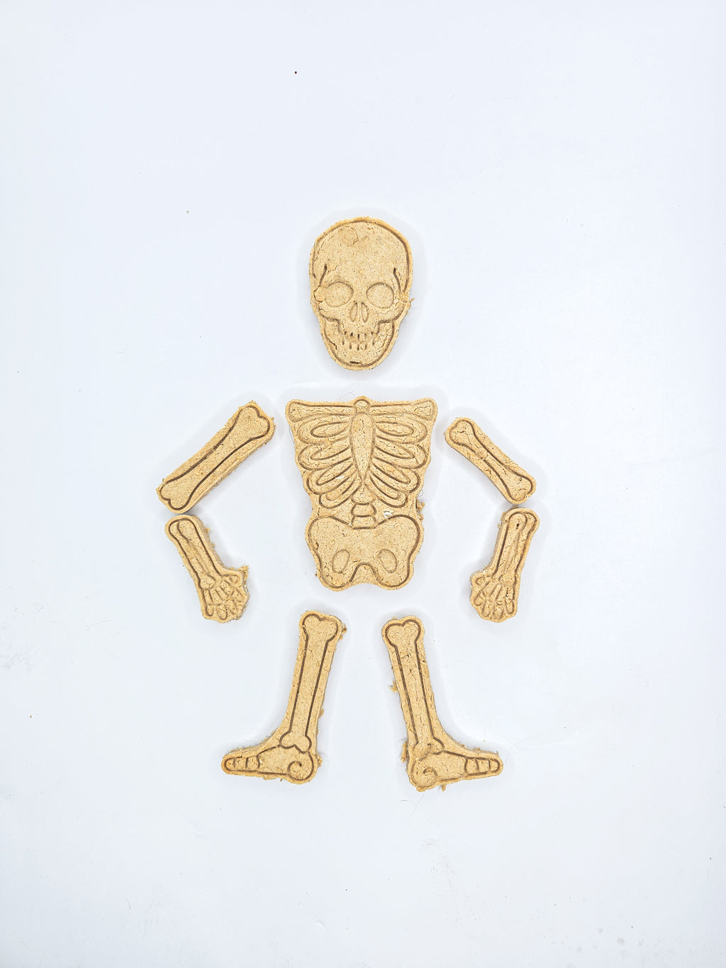 Bone Appétit 🦴