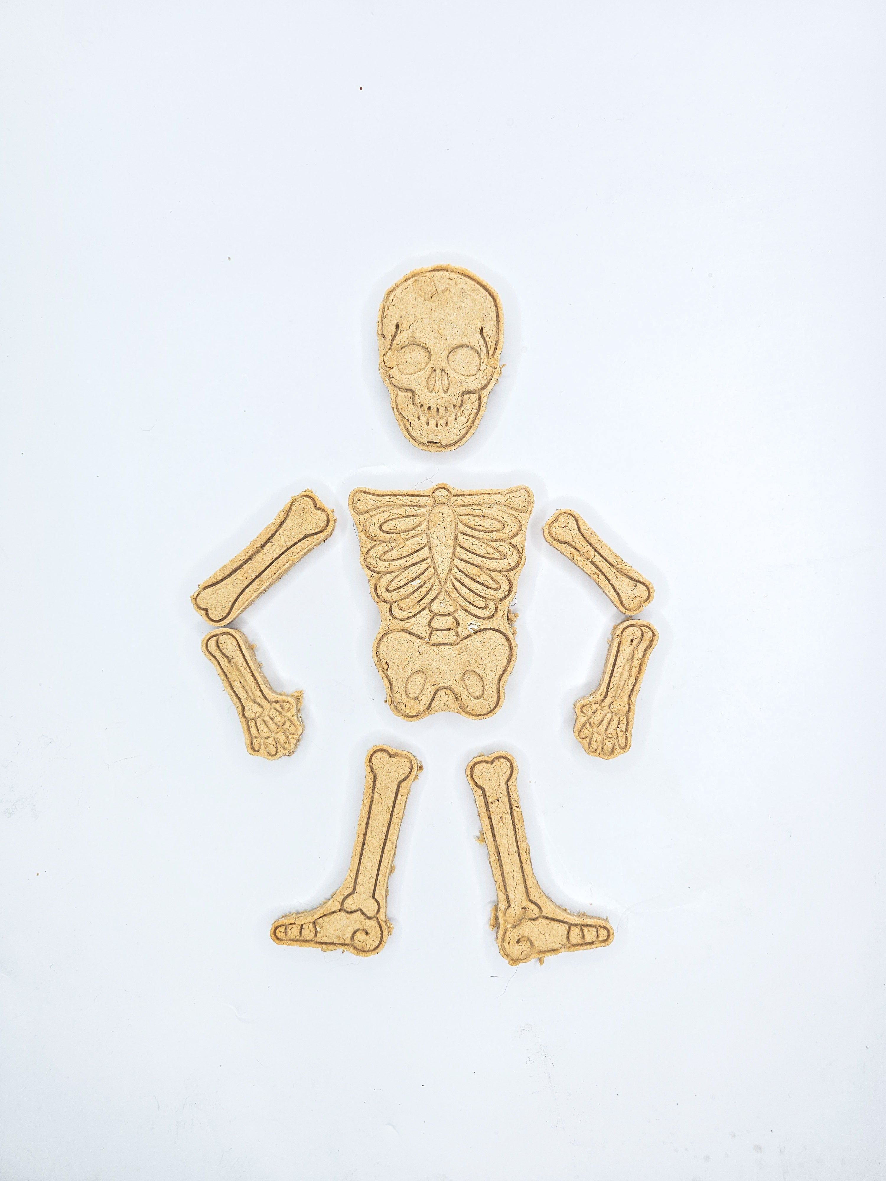 Bone Appétit 🦴