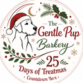 25 Days of Treatmas Countdown Box 🎁