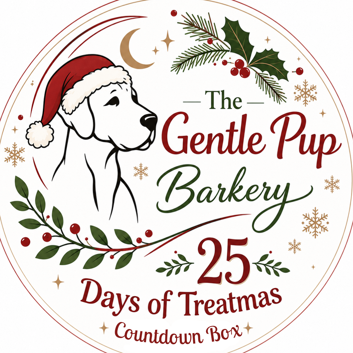 25 Days of Treatmas Countdown Box 🎁