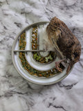 Large Whole Prey Quail 🪶