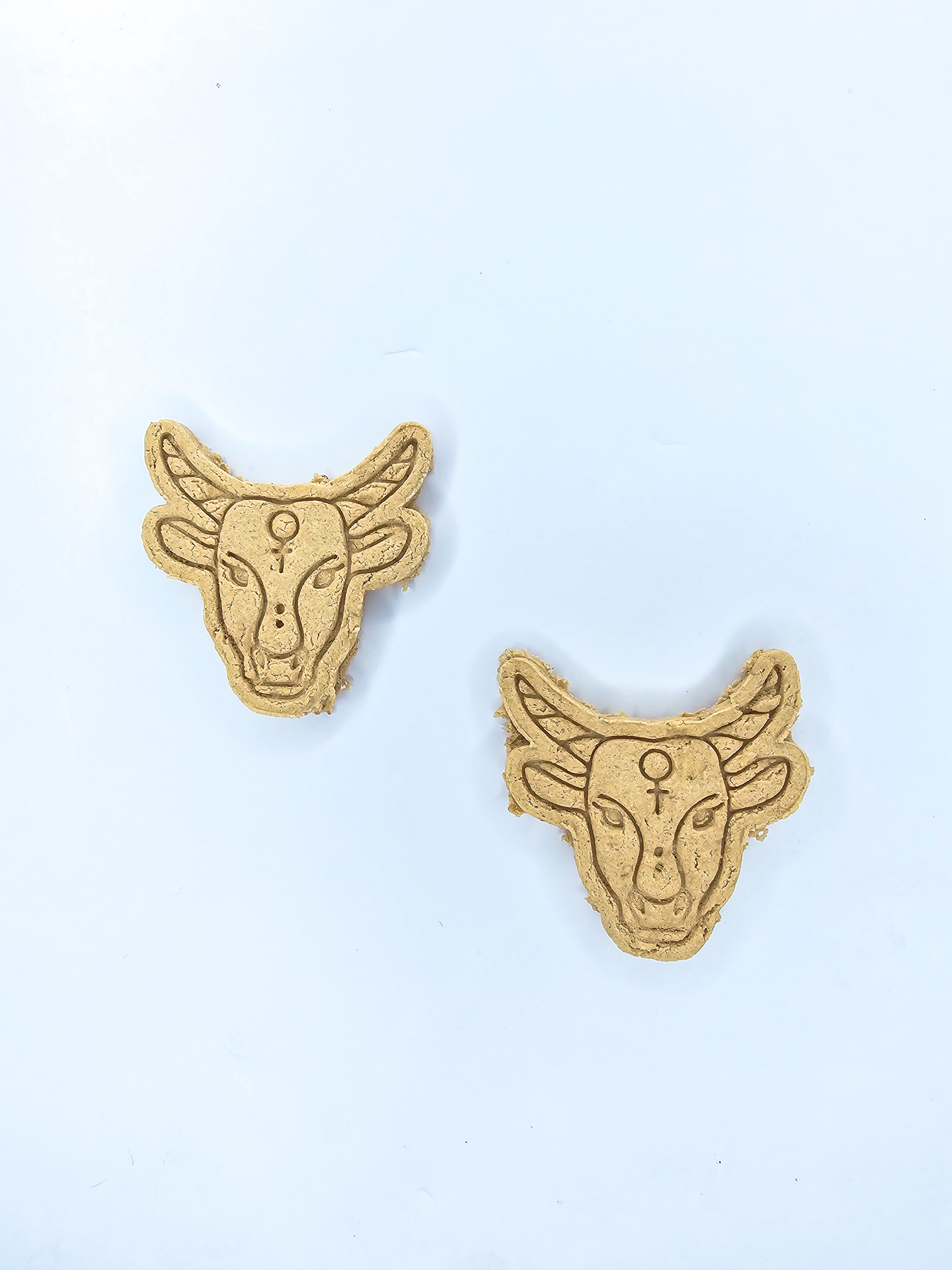 Barkin Bull Taurus ♉️