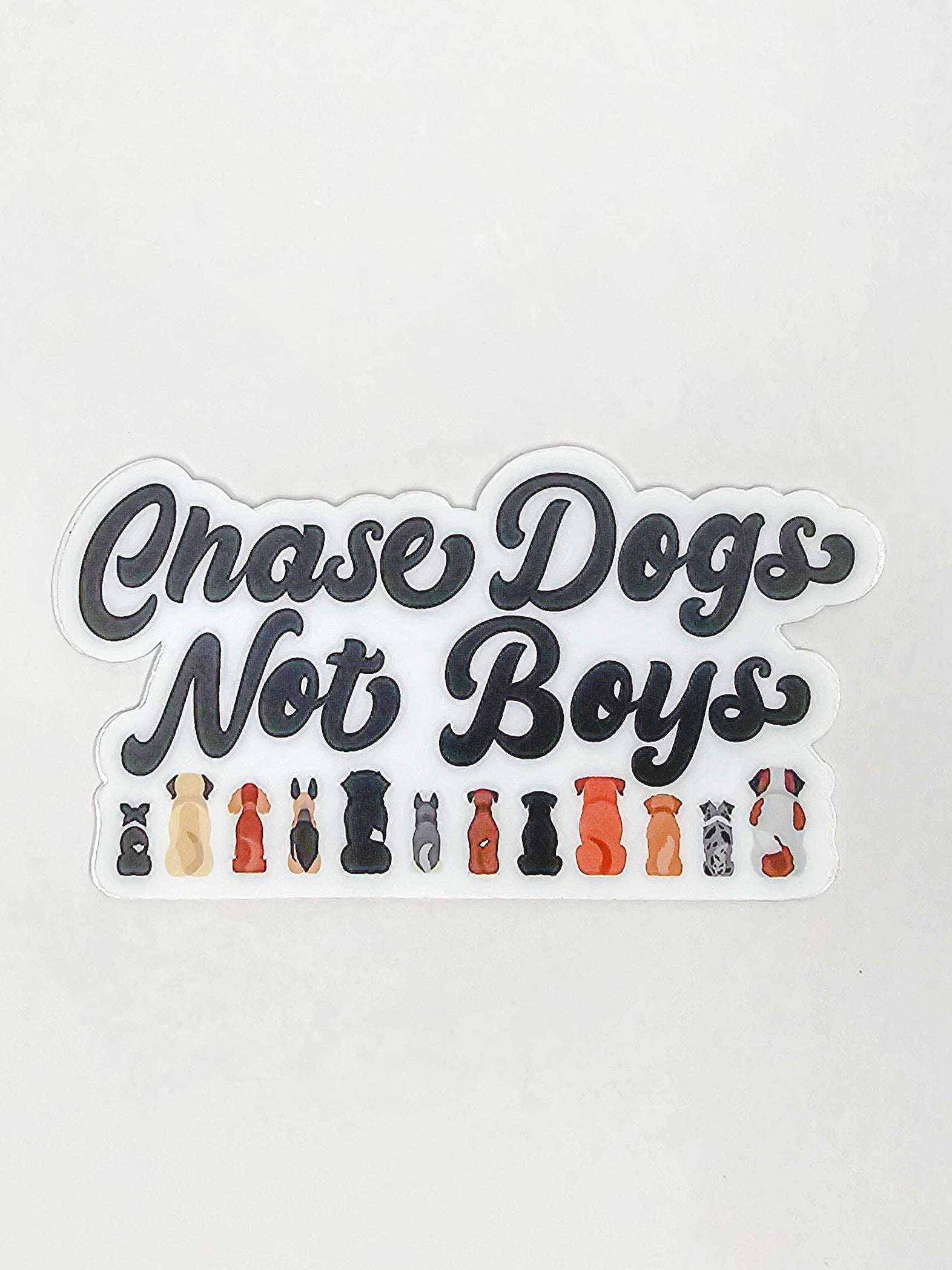 Chase Dogs Not Boys 🐶