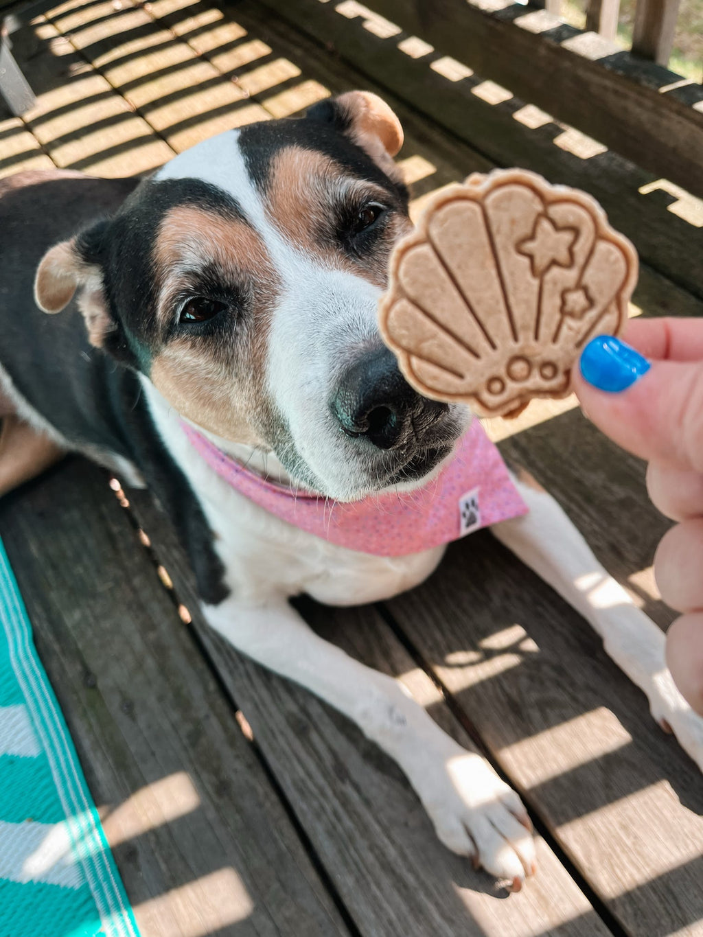 Mer-Pup Magic 🧜‍♀️