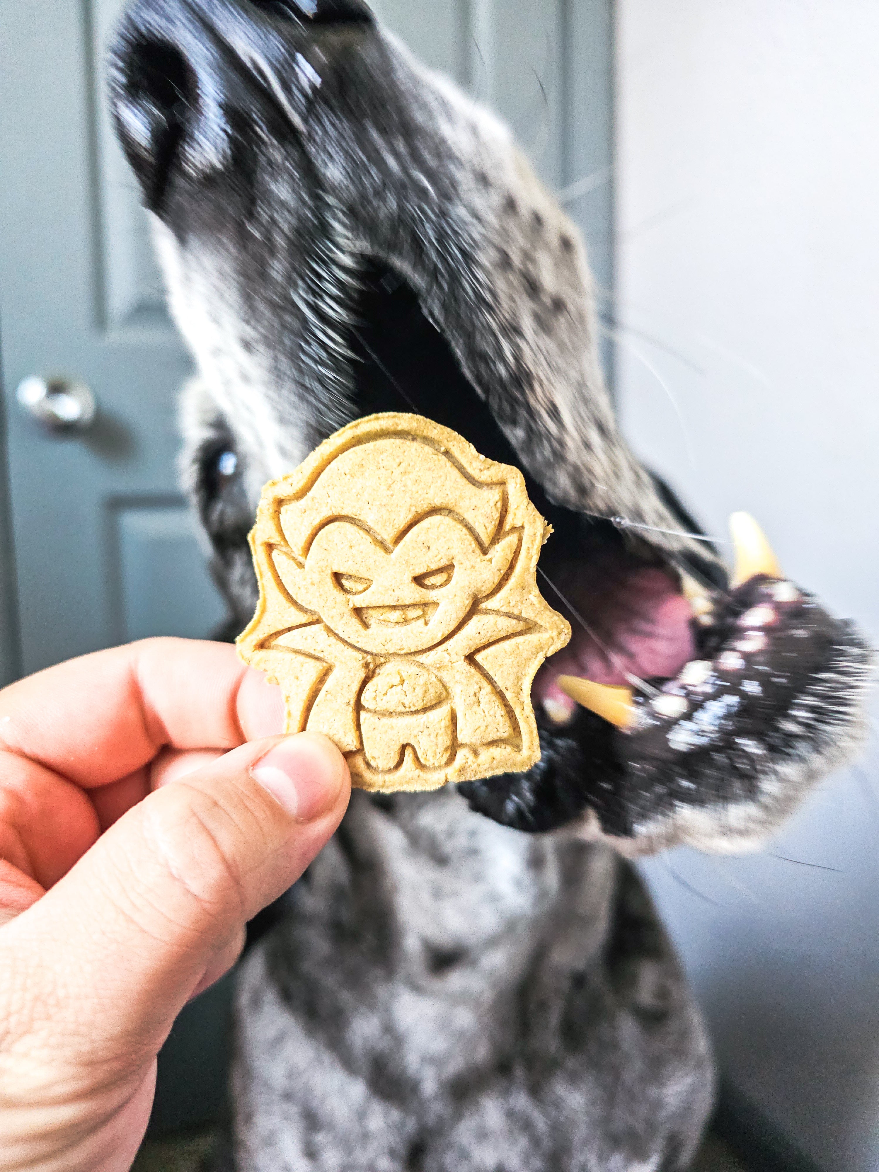 Bark-ula 🧛‍♂️