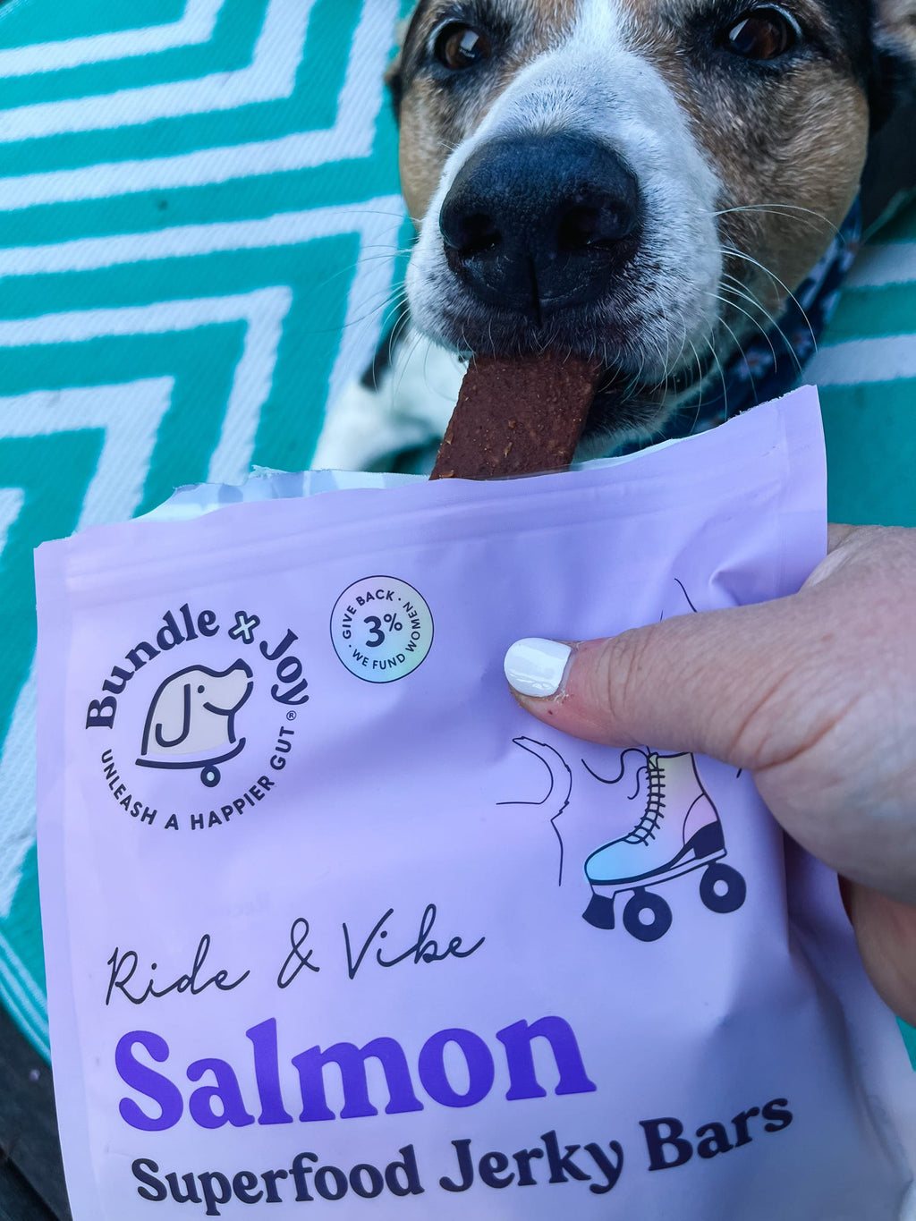 Ride and Vibe Wild-Caught Salmon Jerky Bars 🐟