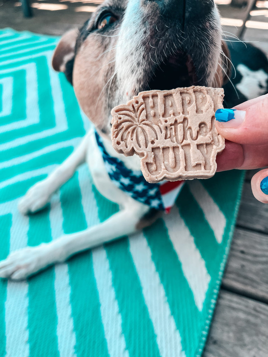 All American Pups 🇺🇸