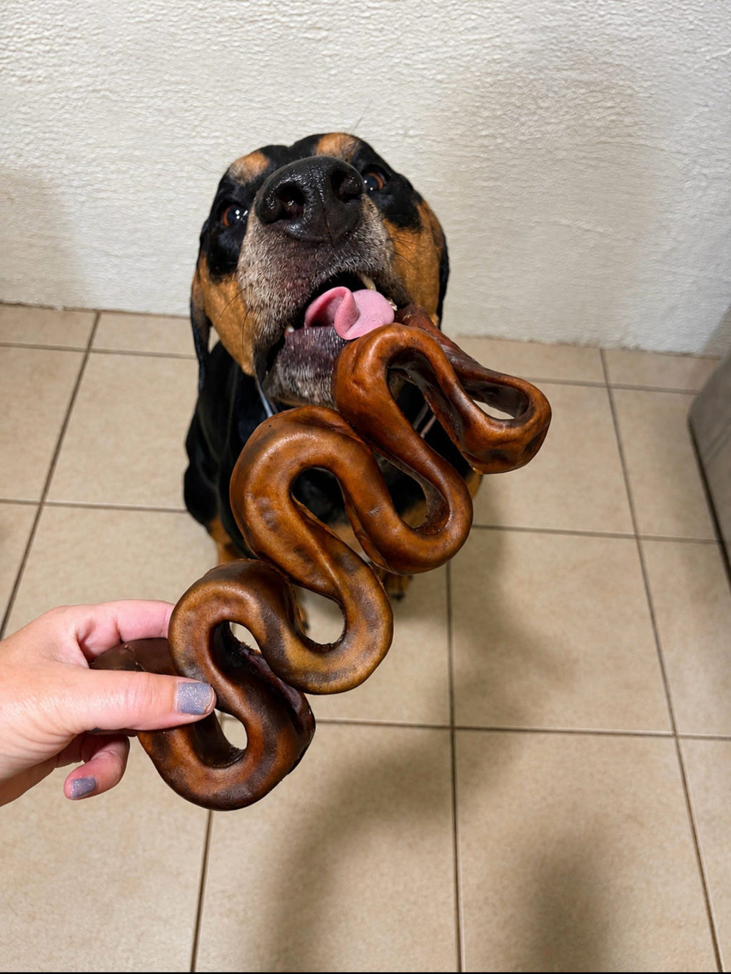 10-12" Beef Collagen Wavy Puzzler 🐮