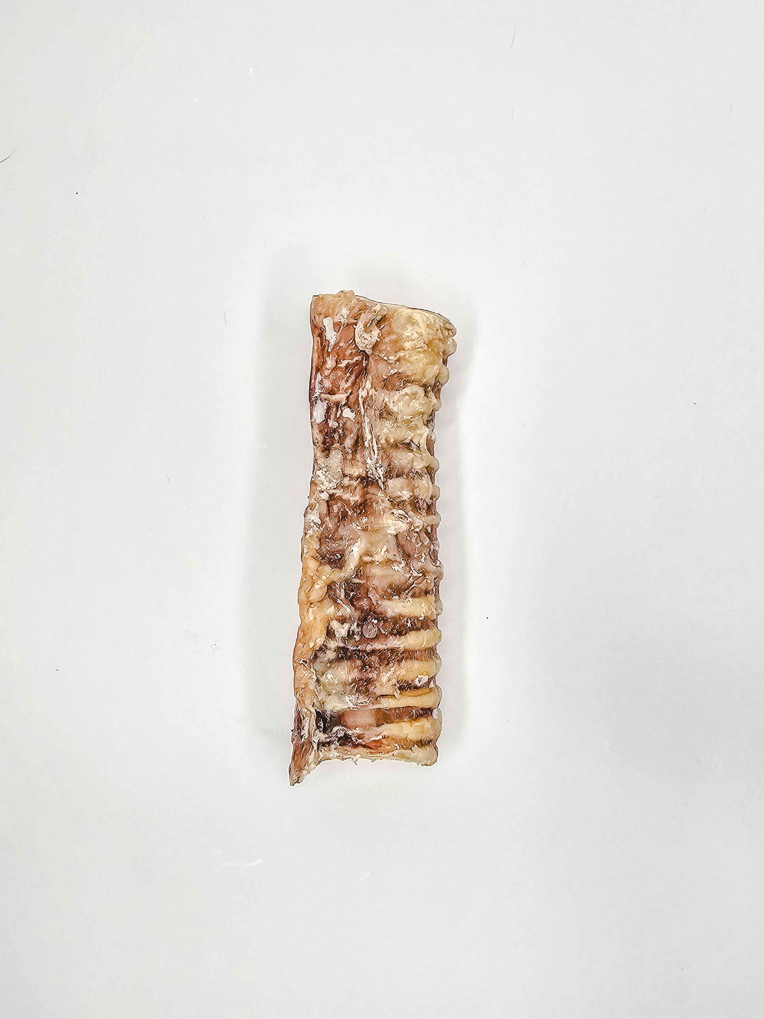 Beef Trachea 🐮