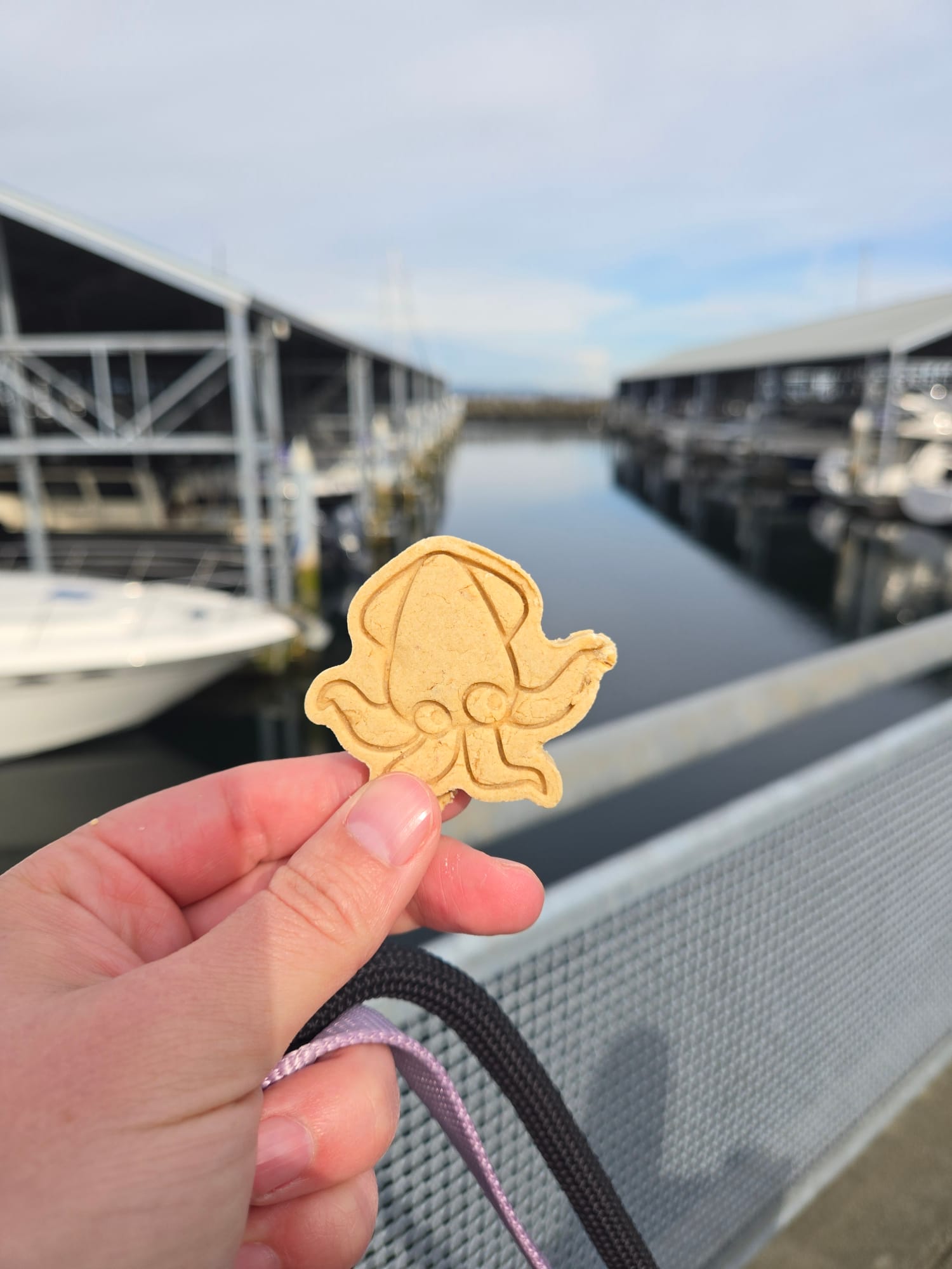 Paw-cific Ocean 🦑