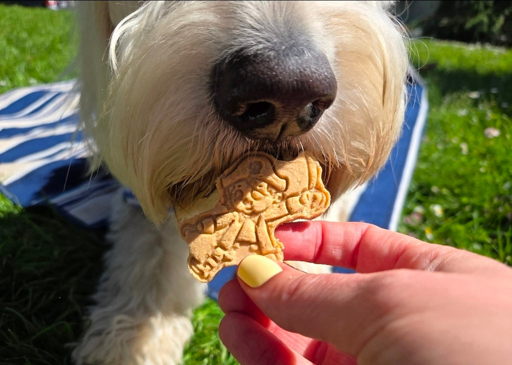 Treasure Sniffin' 🏴‍☠️