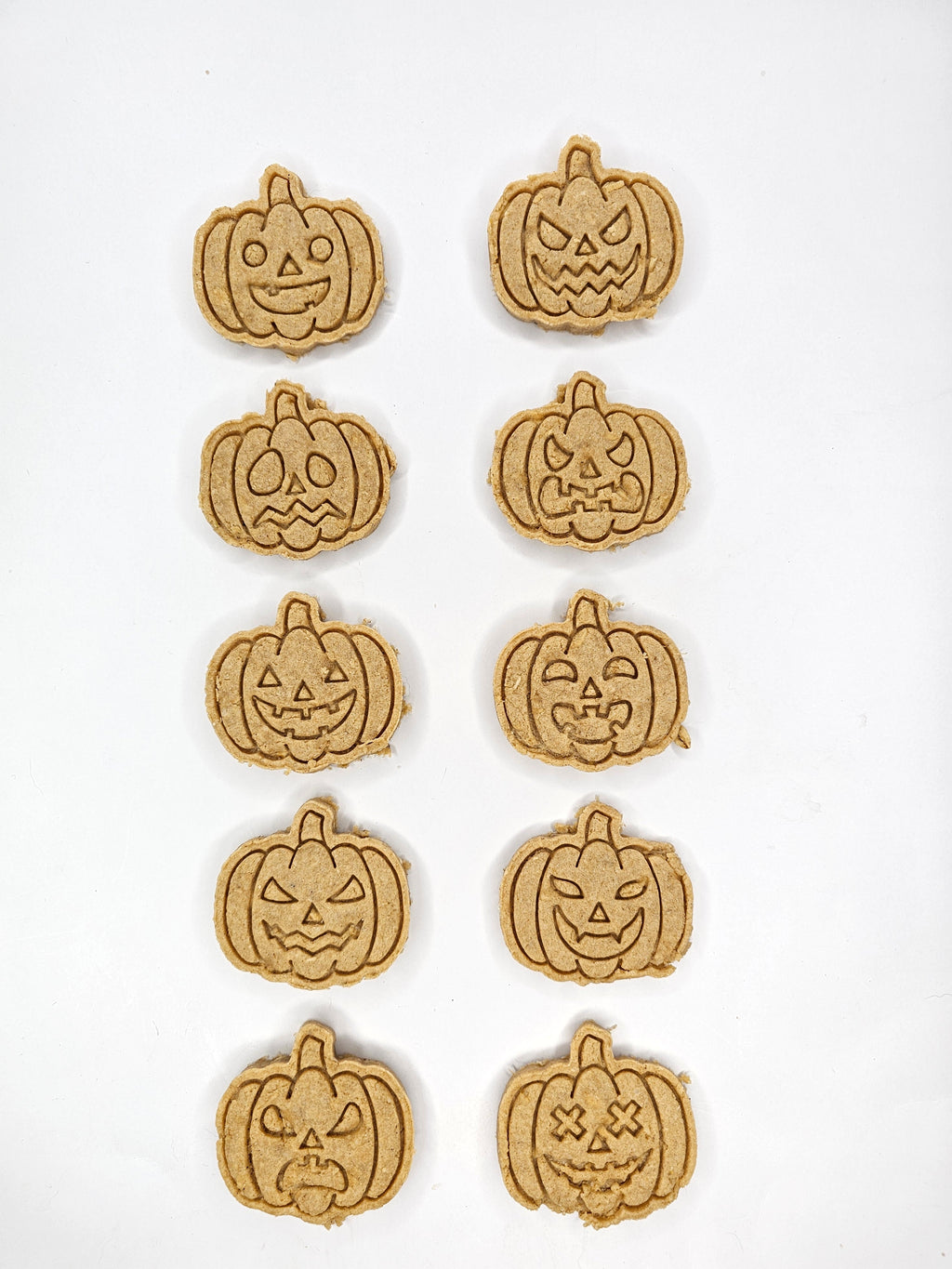 Spooktacular Pumpkins 🎃