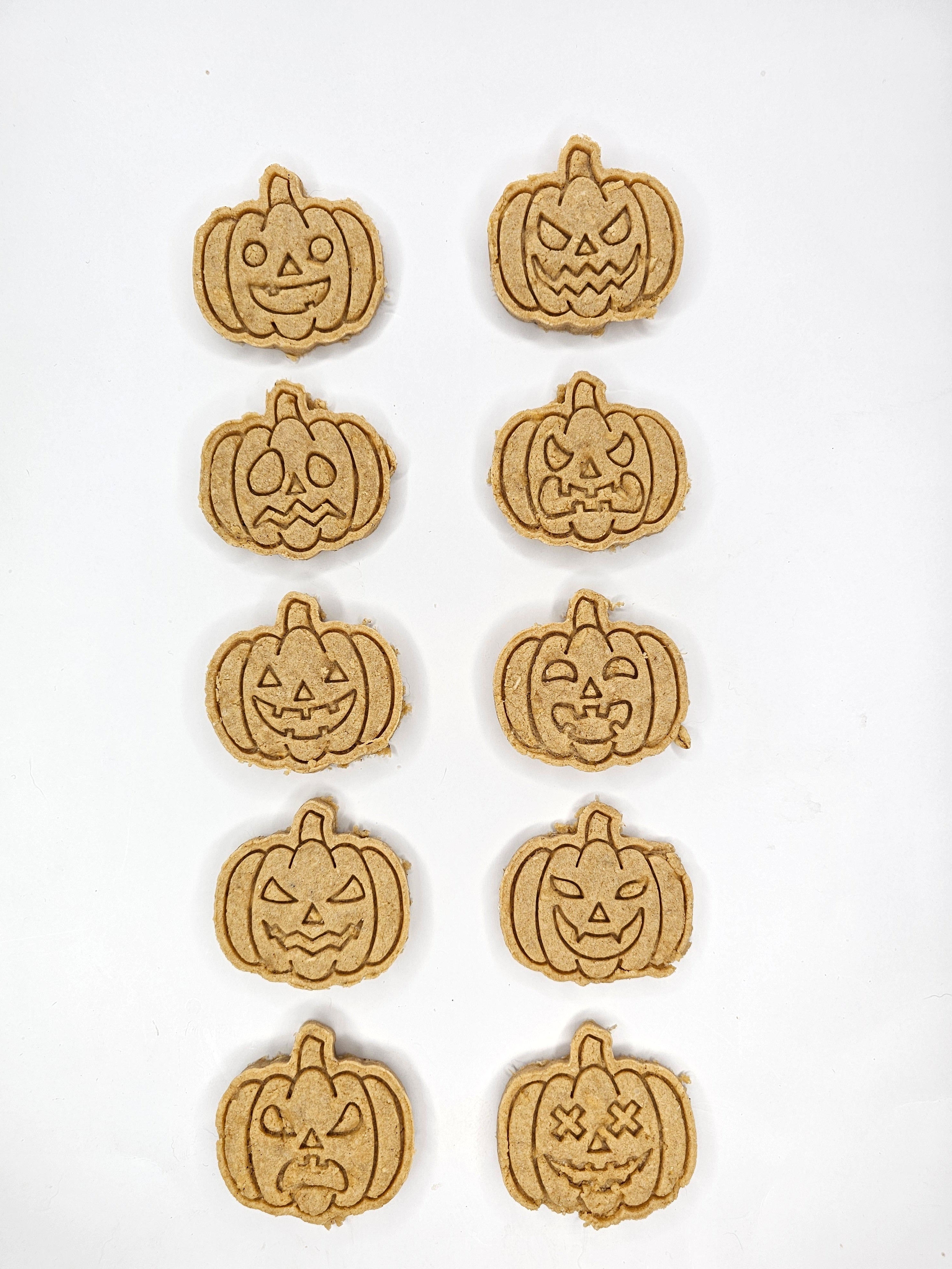 Spooktacular Pumpkins 🎃