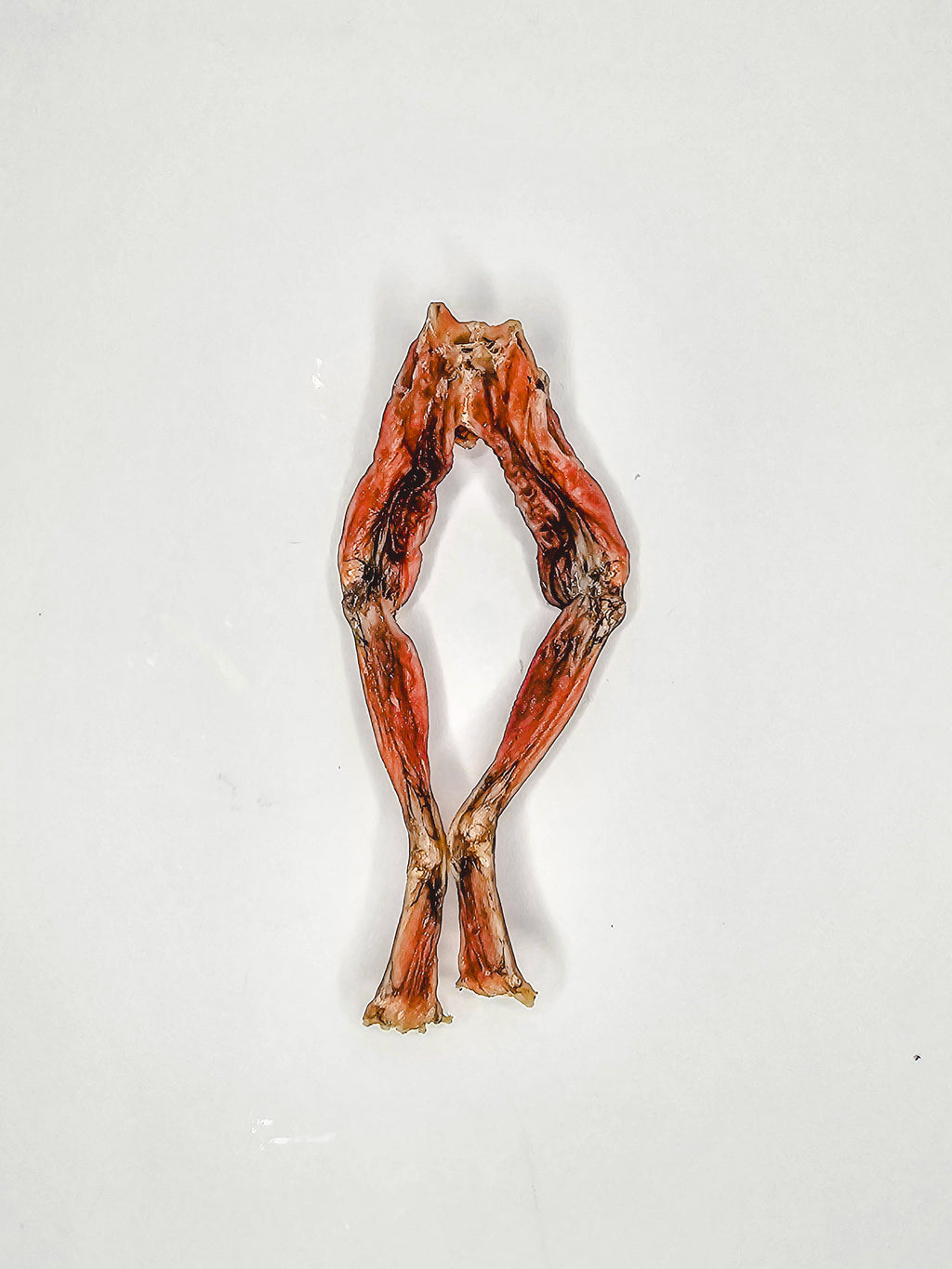Frog Legs 🐸