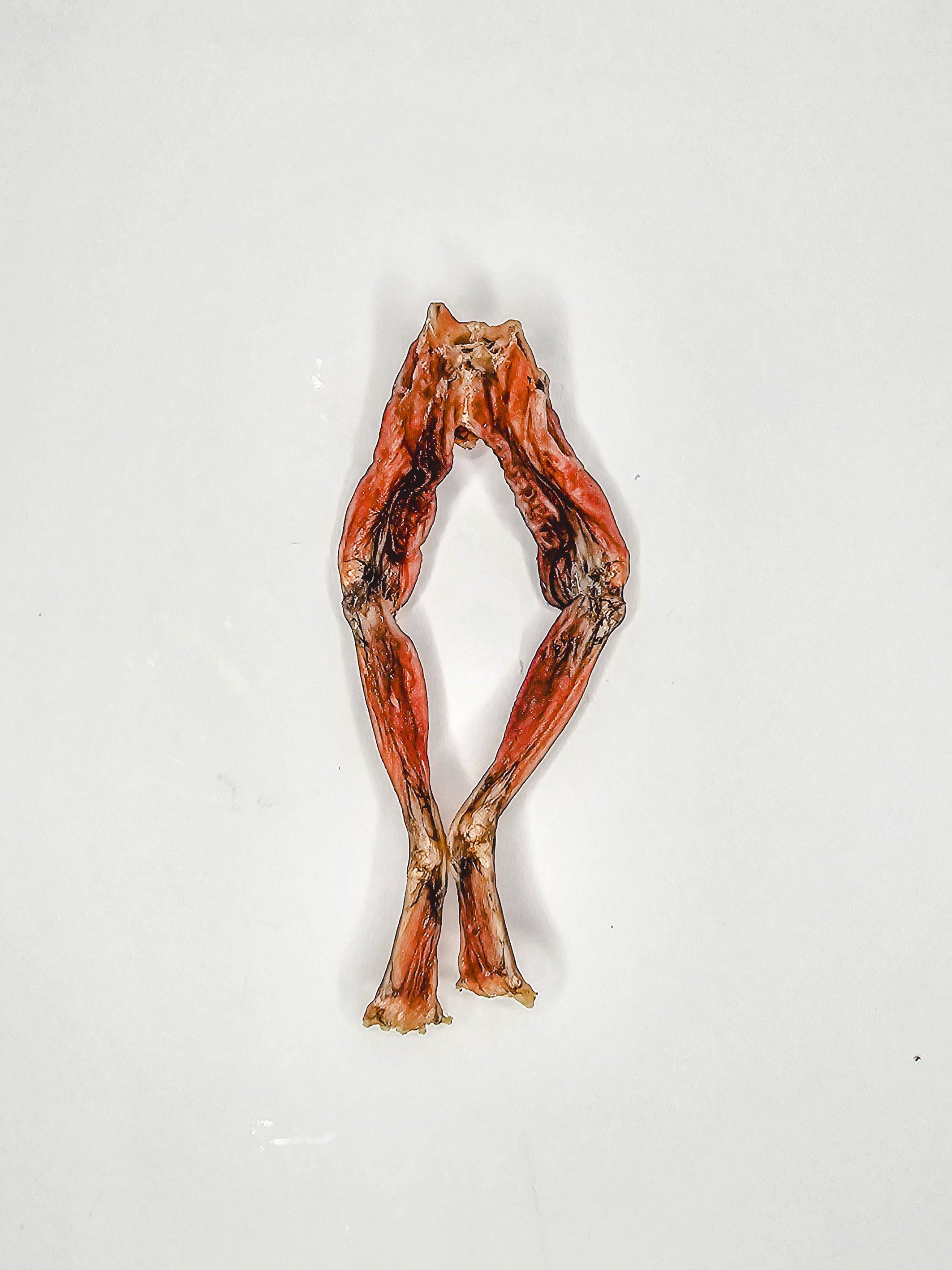 Frog Legs 🐸